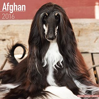 Read online Afghan Dog Calendar - Afghan Hounds Calendar - Breed Specific Afghans Calendar - 2016 Wall calendars - Dog Calendars - Monthly Wall Calendar by Avonside - NOT A BOOK | PDF
