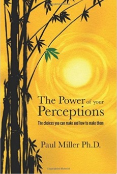 Read online The Power of your Perceptions - The choices you can make and how to make them - Paul Miller | ePub