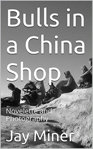 Read online Bulls in a China Shop: Novelette and Photography - Jay Miner file in PDF