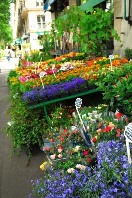 Download Flower Stand in Paris France Journal: 150 Page Lined Notebook/Diary - NOT A BOOK | PDF