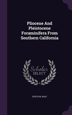 Download Pliocene and Pleistocene Foraminifera from Southern California - Rufus M Bagg | ePub