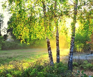 Read The Acres: A Jonas Kirk Mystery (Jonas Kirk Mysteries Book 3) - Dick Snyder | ePub