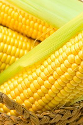 Read online Corn on the Cob Journal: 150 Page Lined Notebook/Diary - NOT A BOOK | ePub