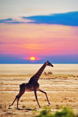 Read Giraffe Running on Savanna in Kenya, Africa Journal: 150 Page Lined Notebook/Diary - NOT A BOOK file in ePub