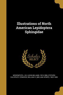Read online Illustrations of North American Lepidoptera Sphingidae - Stephen Calverley file in PDF