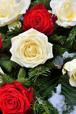 Read online New York State Flower - Rose Journal: 150 Page Lined Notebook/Diary - NOT A BOOK | ePub