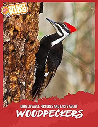 Read Unbelievable Pictures and Facts About Woodpeckers - Olivia Greenwood | PDF