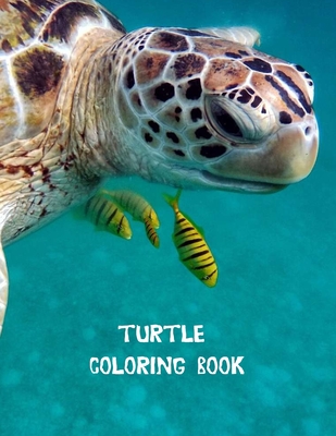 Read Turtle coloring book: Coloring Toy Gifts for Toddlers, Kids or Adult Relaxation Cute Easy and Relaxing Realistic Large Print Birthday Gifts - Shayne Coloring Book file in ePub