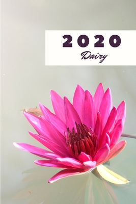 Read 2020 Dairy: Notebook for Daily Schedule and Activity Organize Journal Notebook for 2019-2020 Daily Agenda and Calendar for 2020 - Be Punctual | PDF