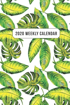 Read Online 2020 Weekly Calendar: Watercolor Tropical Leaves - Andante Press file in ePub